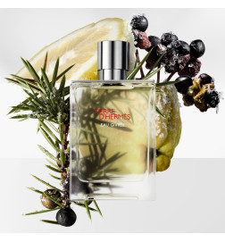 Terre d'Hermès Frosted Water - Eau de Parfum